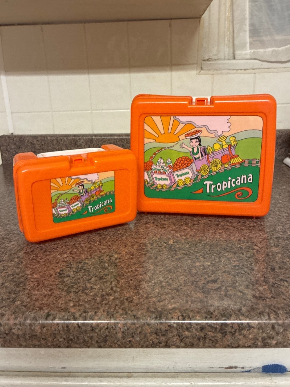 Tropicana 90’s Lunch And Sandwich Box 2 piece